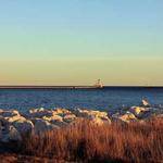 Winnifred Reichert Profile Picture