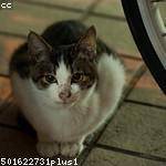 Ole Emard Profile Picture