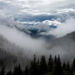 Sidney Fahey Profile Picture