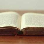 Polly Gerlach Profile Picture