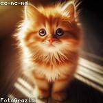 Benton Reichel Profile Picture