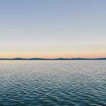 Hector Rohan Profile Picture