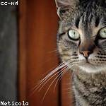 Kacie Armstrong Profile Picture